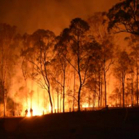 SAFERS et la lutte contre les feux de forêt : Entretien avec Maha AL-SALEHI du SEMIDE